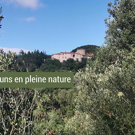 Pyrenees Mon Amour Felluns Ngoại thất bức ảnh