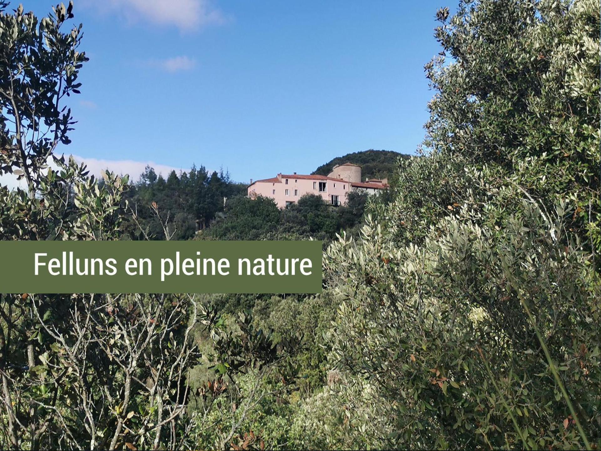 Pyrenees Mon Amour Felluns Ngoại thất bức ảnh